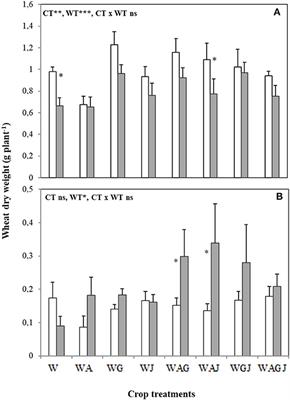 Faba Bean Variety Mixture Can Modulate Faba Bean–Wheat Intercrop Performance Under Water Limitation